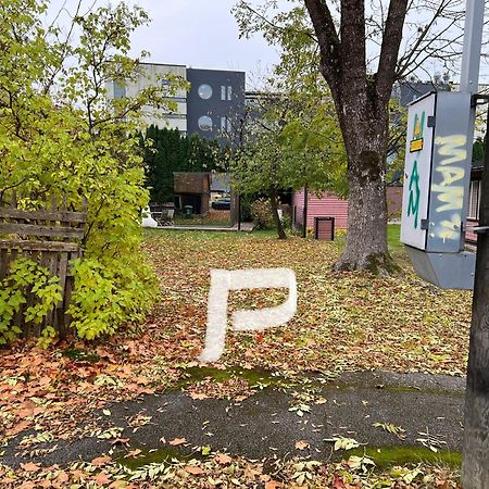 Mirror House Roosi 21 Villa Пярну Екстериор снимка
